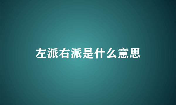 左派右派是什么意思