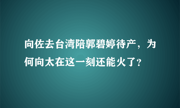 向佐去台湾陪郭碧婷待产，为何向太在这一刻还能火了？