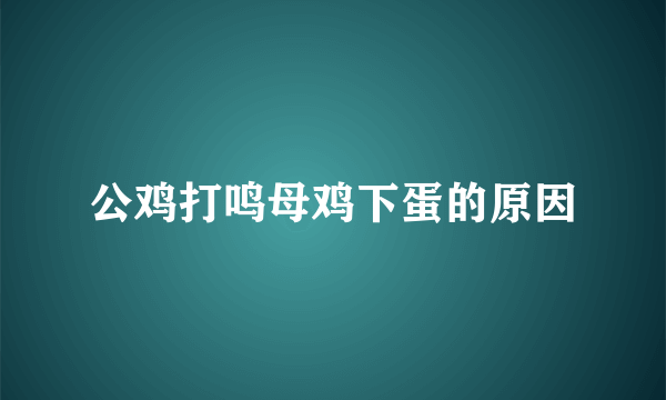 公鸡打鸣母鸡下蛋的原因