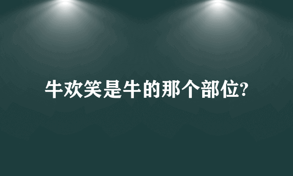 牛欢笑是牛的那个部位?