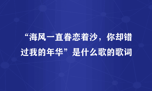 “海风一直眷恋着沙，你却错过我的年华”是什么歌的歌词