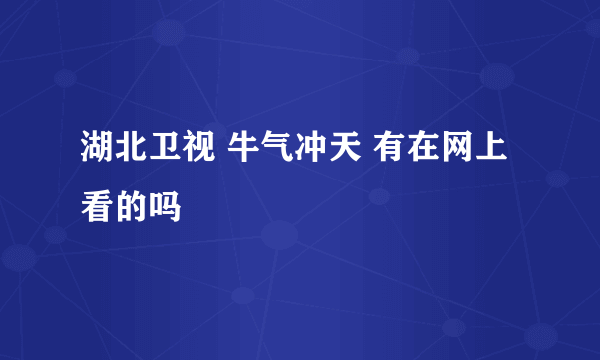 湖北卫视 牛气冲天 有在网上看的吗