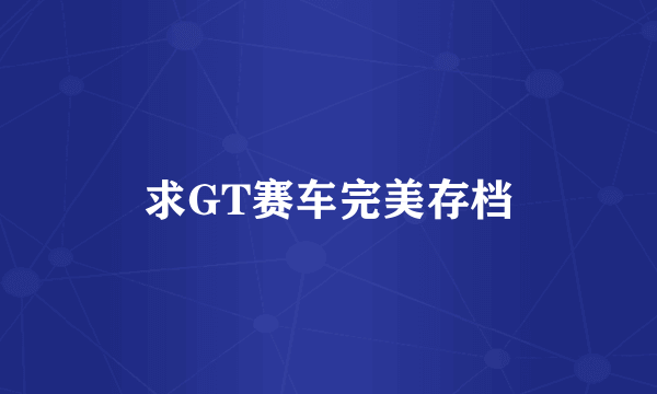 求GT赛车完美存档