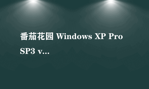 番茄花园 Windows XP Pro SP3 v1.21(采用微软最新SP3原版制作)绝版终结版