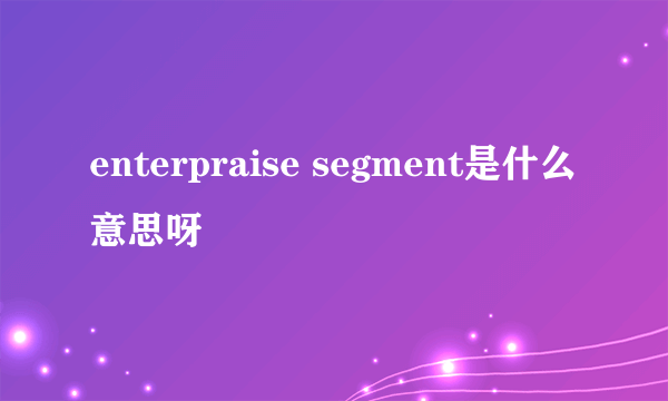 enterpraise segment是什么意思呀