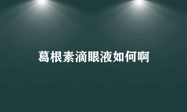 葛根素滴眼液如何啊