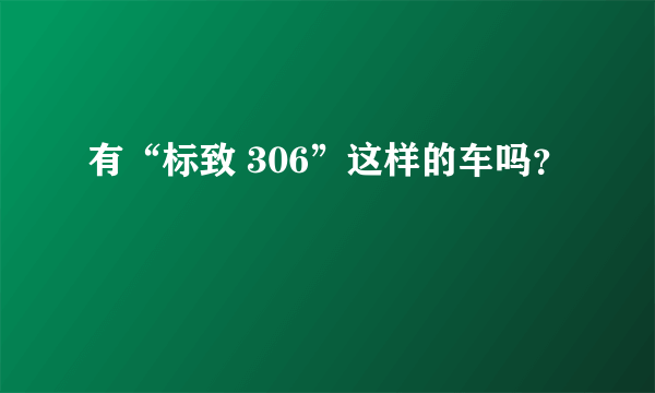 有“标致 306”这样的车吗？