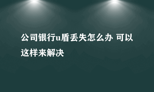 公司银行u盾丢失怎么办 可以这样来解决