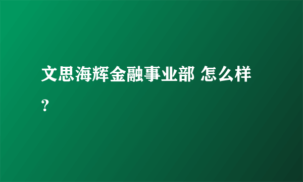 文思海辉金融事业部 怎么样？