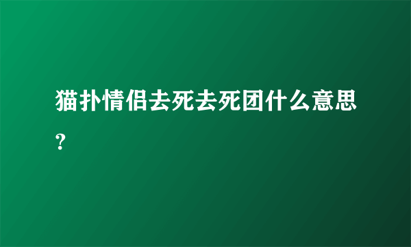 猫扑情侣去死去死团什么意思?