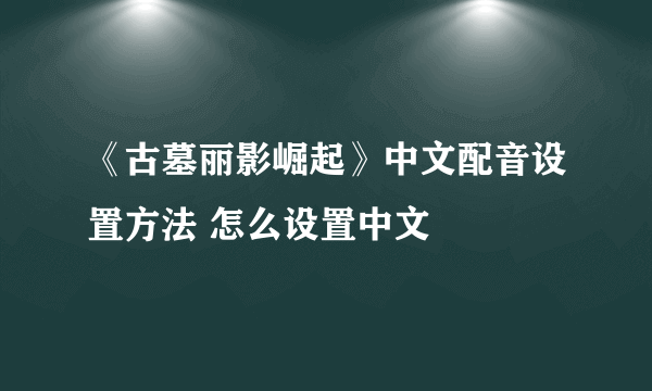 《古墓丽影崛起》中文配音设置方法 怎么设置中文