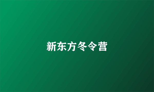 新东方冬令营