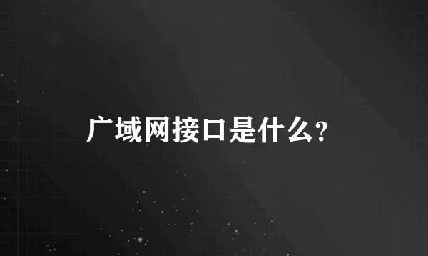 广域网接口是什么？