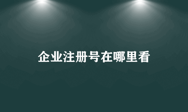 企业注册号在哪里看