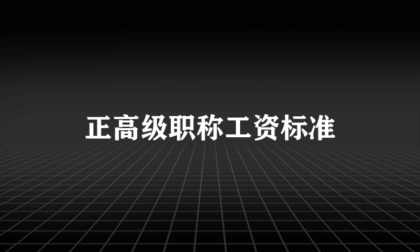 正高级职称工资标准