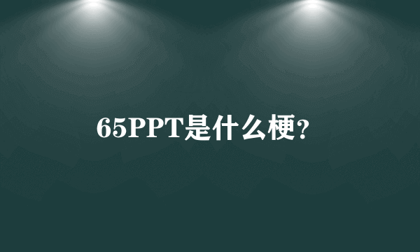 65PPT是什么梗？