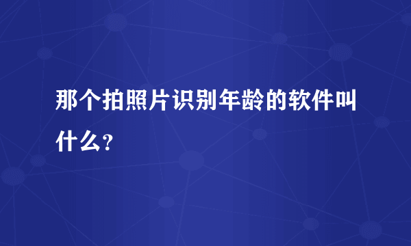 那个拍照片识别年龄的软件叫什么？