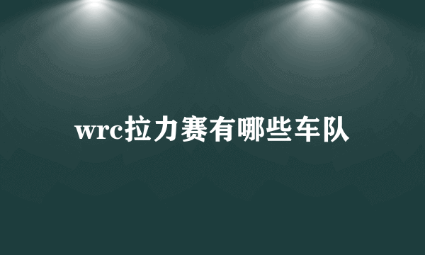 wrc拉力赛有哪些车队