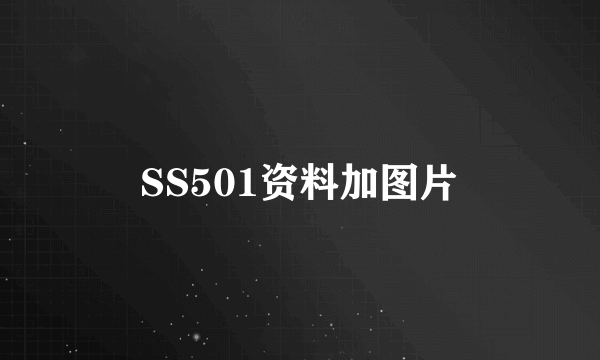 SS501资料加图片