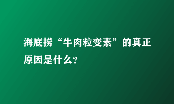 海底捞“牛肉粒变素”的真正原因是什么？