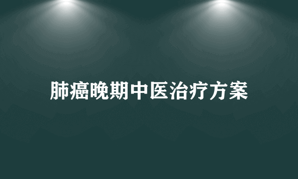 肺癌晚期中医治疗方案