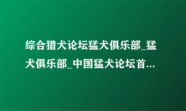 综合猎犬论坛猛犬俱乐部_猛犬俱乐部_中国猛犬论坛首页-飞外网