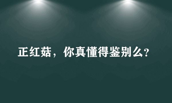 正红菇，你真懂得鉴别么？