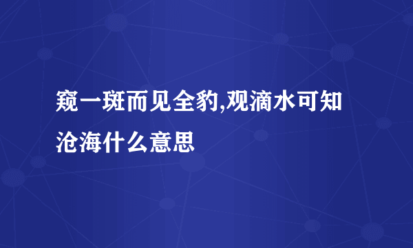 窥一斑而见全豹,观滴水可知沧海什么意思