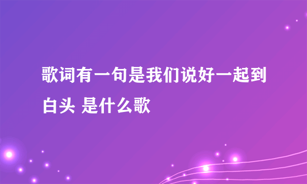 歌词有一句是我们说好一起到白头 是什么歌