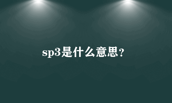 sp3是什么意思？