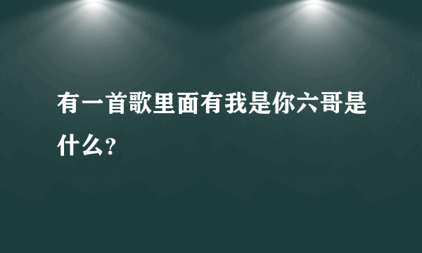 有一首歌里面有我是你六哥是什么？