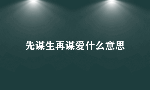 先谋生再谋爱什么意思