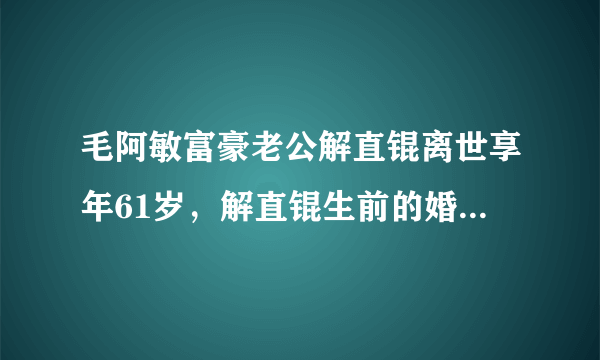 毛阿敏富豪老公解直锟离世享年61岁，解直锟生前的婚史是怎样的？