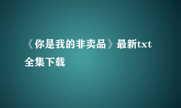 《你是我的非卖品》最新txt全集下载