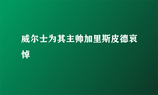 威尔士为其主帅加里斯皮德哀悼