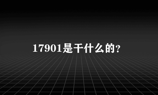 17901是干什么的？