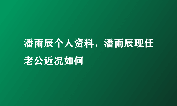 潘雨辰个人资料，潘雨辰现任老公近况如何