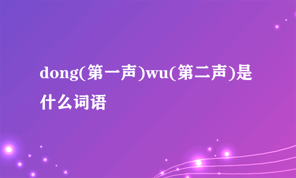 dong(第一声)wu(第二声)是什么词语