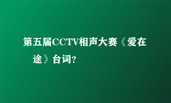 第五届CCTV相声大赛《爱在囧途》台词？