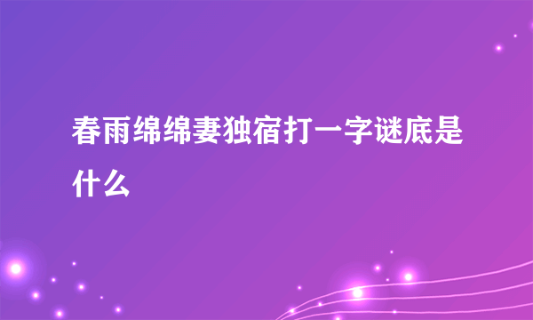 春雨绵绵妻独宿打一字谜底是什么