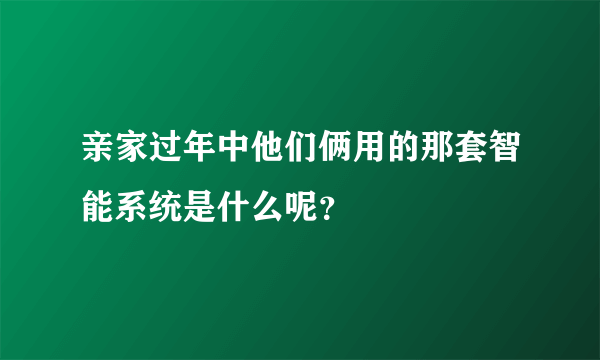 亲家过年中他们俩用的那套智能系统是什么呢？