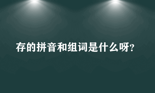 存的拼音和组词是什么呀？