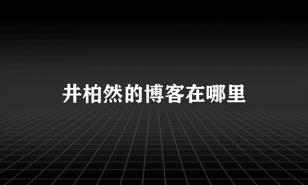 井柏然的博客在哪里