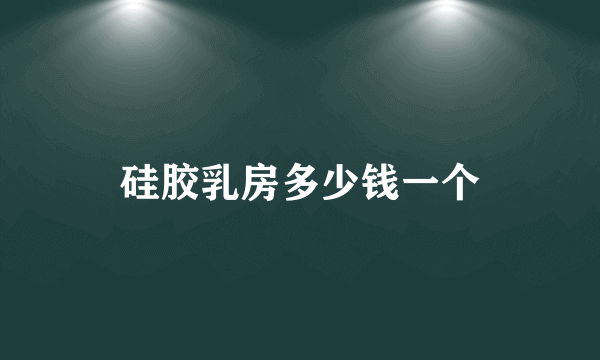 硅胶乳房多少钱一个