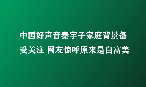 中国好声音秦宇子家庭背景备受关注 网友惊呼原来是白富美