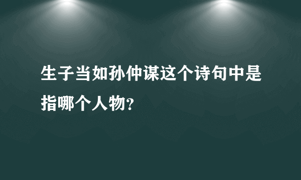 生子当如孙仲谋这个诗句中是指哪个人物？