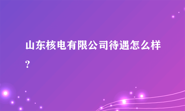 山东核电有限公司待遇怎么样？