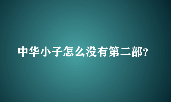 中华小子怎么没有第二部？