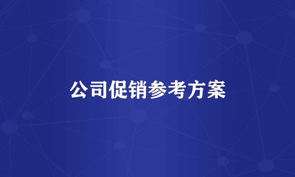 公司促销参考方案