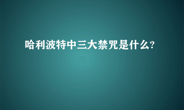 哈利波特中三大禁咒是什么?